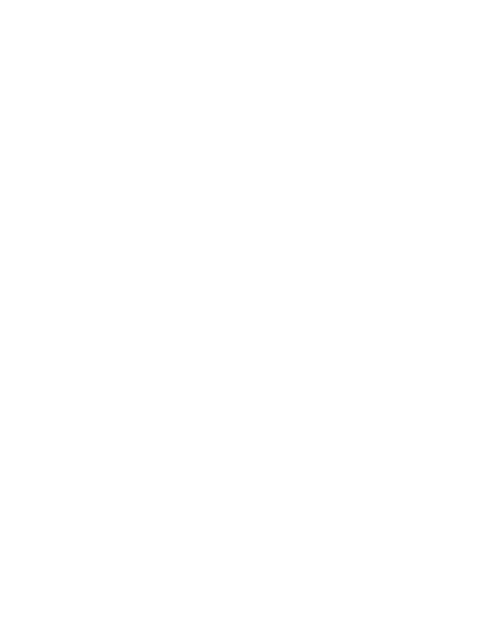 FSI Europe