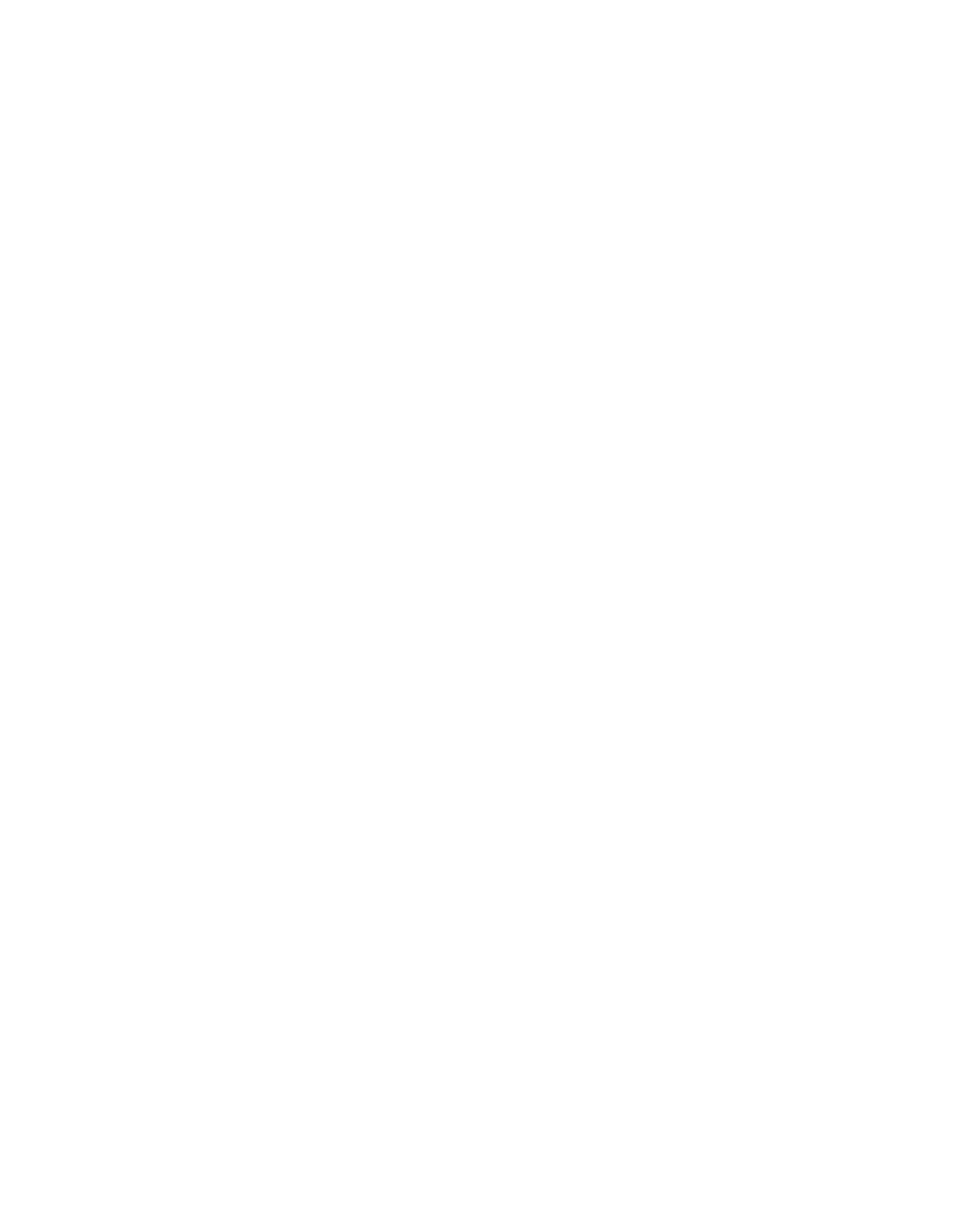 FSI logo white with transparent background
