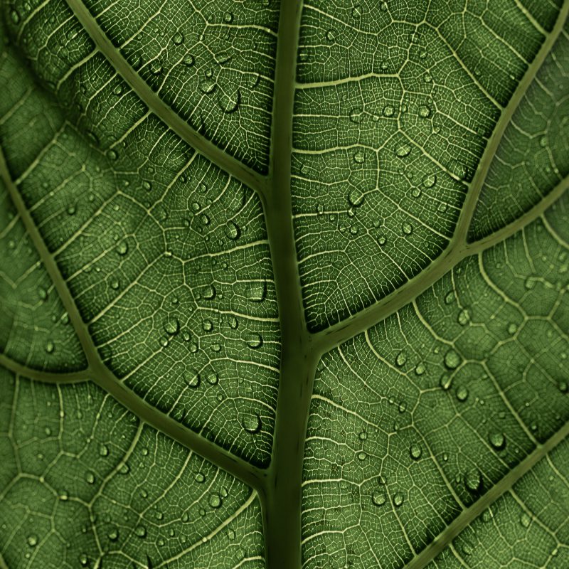 ecomate is a sustainable blowing agent