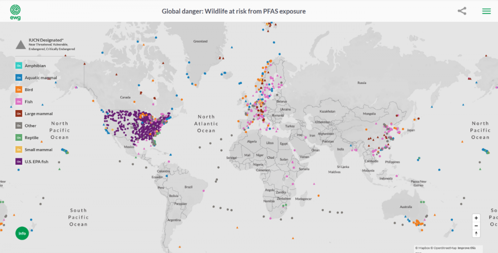 PFAS Contamination in Wildlife 2025