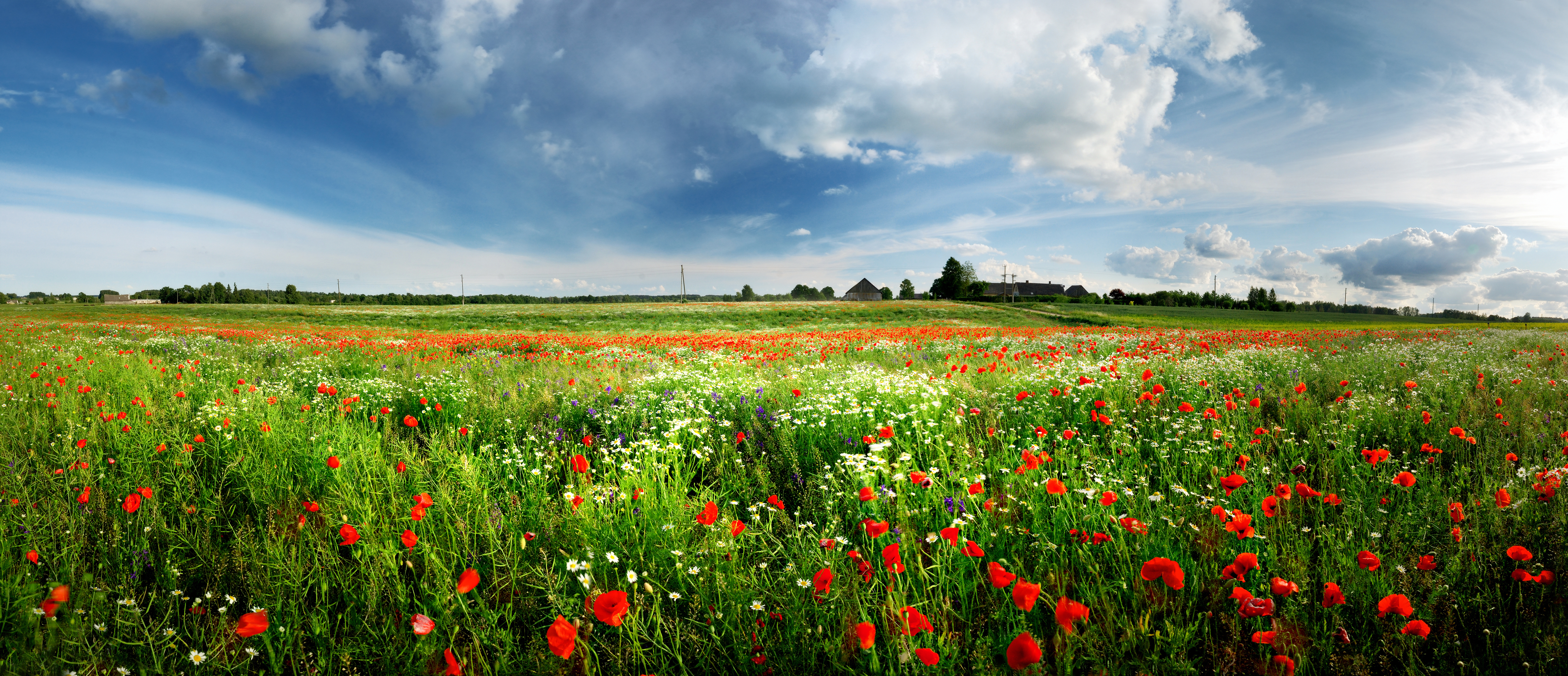 FSI EU: Proven PFAS-Free Foam Solutions
