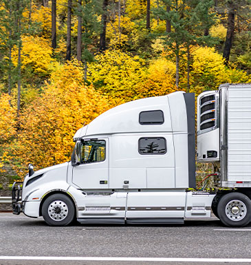 Refrigerated-Transport-Insulation-Cold-Chain-Polyurethane-Systems