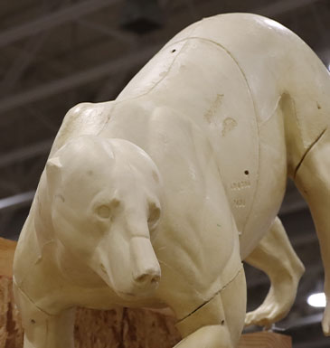 Taxidermy-Foam-High-Density-Polyurethane-for-Mounting