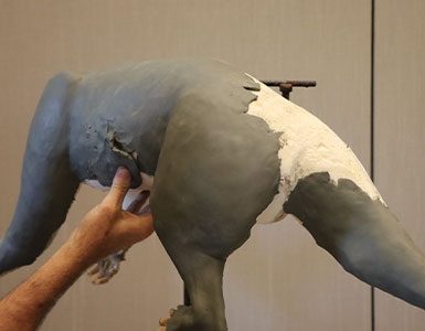 Taxidermy-Foam-High-Density-Polyurethane-for-Mounting