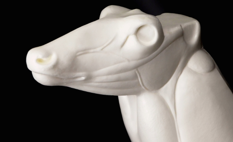 ecoform-taxidermy-form-detail